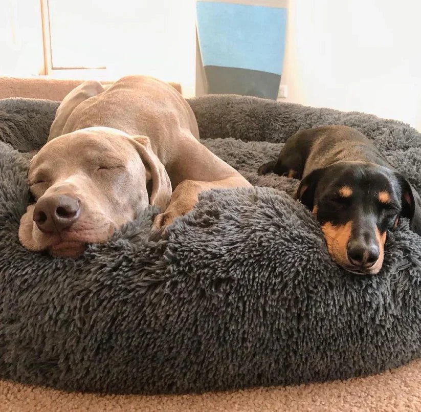 Calming Deep Sleep Pet Bed - Image 2