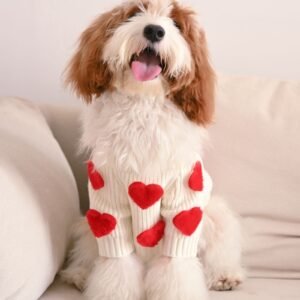 Cream Heart-3D Motif Pet Sweater