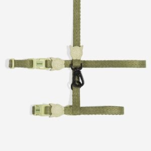 Moss | Cat Harness with Leash